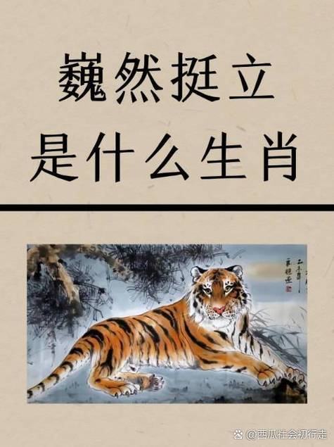 睬字打一生肖,睬字是什么生肖，重点诠释解释落实