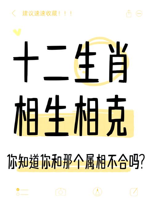 什么生肖相生相克又相合,哪些生肖相冲相克相害相刑,重点诠释解释落实