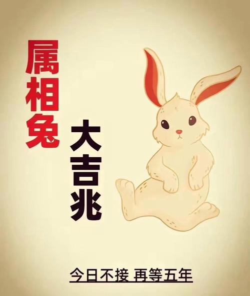 属兔子跟什么生肖最合,属兔子跟什么生肖最合财,重点诠释解释落实