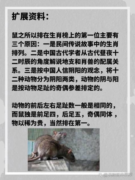 今期生肖出英雄打一动物,今期生肖出英雄是什么意思，重点诠释解释落实