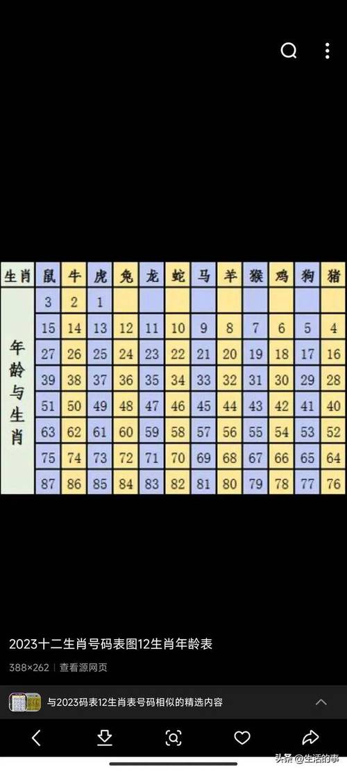 十二生肖码数对照表,十二生肖码表图片2020,重点诠释解释落实