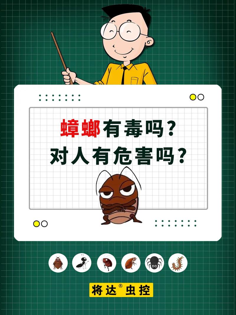蟑螂打一肖最佳答案,蟑螂打一肖,最佳答案?,重点诠释解释落实