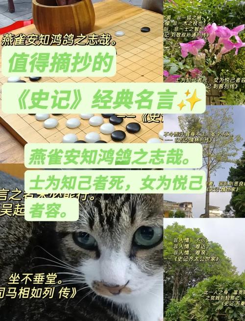 千金之裘文言文翻译,千金之裘非一狐之腋也台榭之榱非一木之枝也读音,重点诠释解释落实
