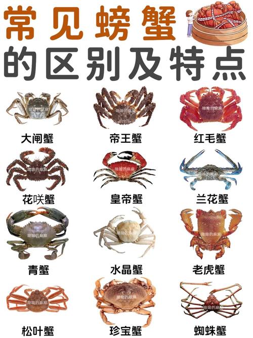 螃蟹猜一动物,螃蟹指什么动物生肖,重点诠释解释落实