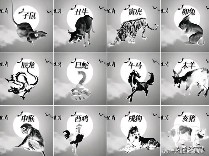 今期生肖发金光猜一最佳生肖,十二生肖发金光的动物是什么?，重点诠释解释落实