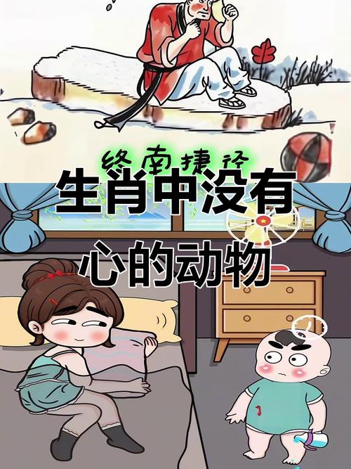 什么生肖没有心脏,什么生肖没有心脏打一正确答案,重点诠释解释落实