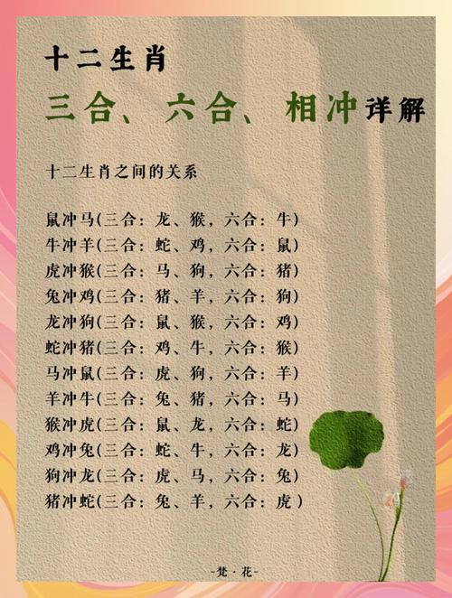 鼠生肖跟什么生肖合得来,生肖鼠和什么生肖最配,不会犯冲,重点诠释解释落实