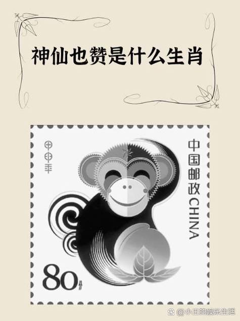 今晚人间借一宿猜一生肖,今晚人间借一宿是什么生肖，重点诠释解释落实
