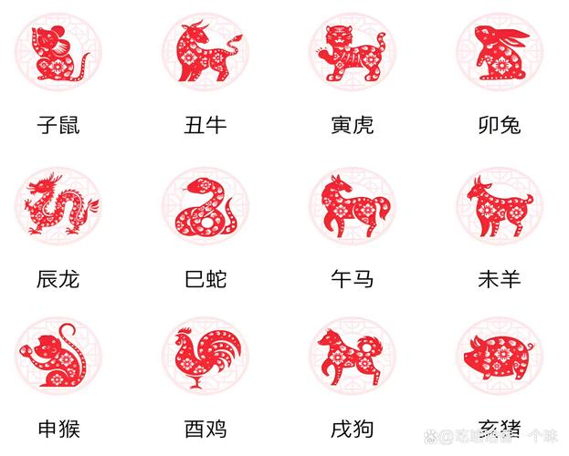 看一下生肖画的图片,看一下生肖画的图片大全,重点诠释解释落实