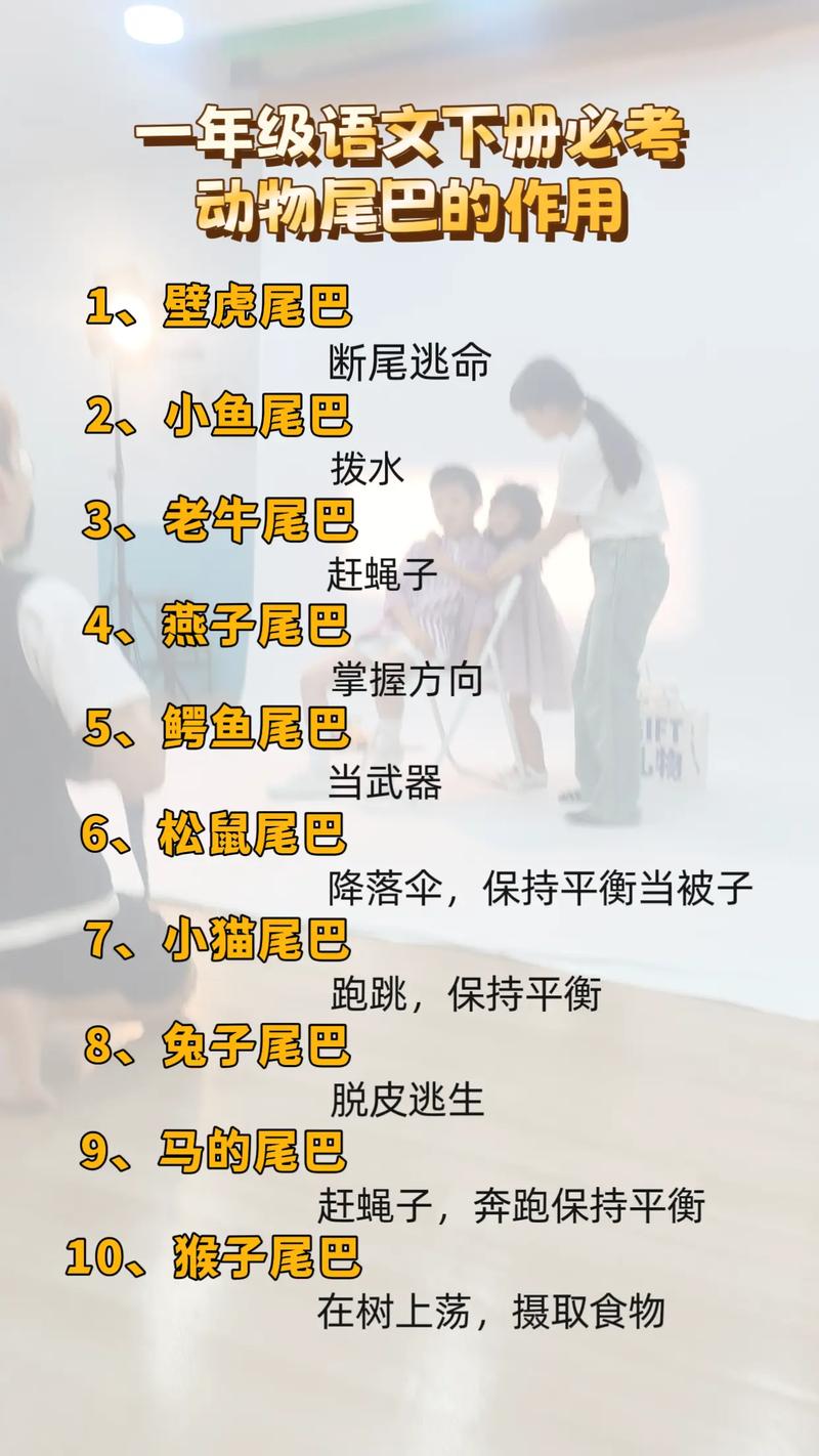 关于动物尾巴的谜语,关于动物尾巴的谜语怎么说,重点诠释解释落实